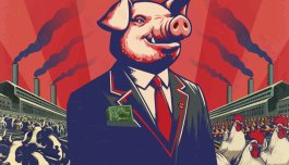 Immagine della locandina del film che raffigura un maiale in giacca in un allevamento intensivo