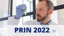 PRIN 2022