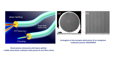 immagini al microscopio di fibra ottica