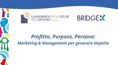 BRIDGEX